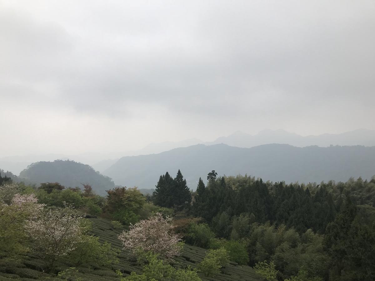 Zhu Yuan Homestay Fenchihu Esterno foto