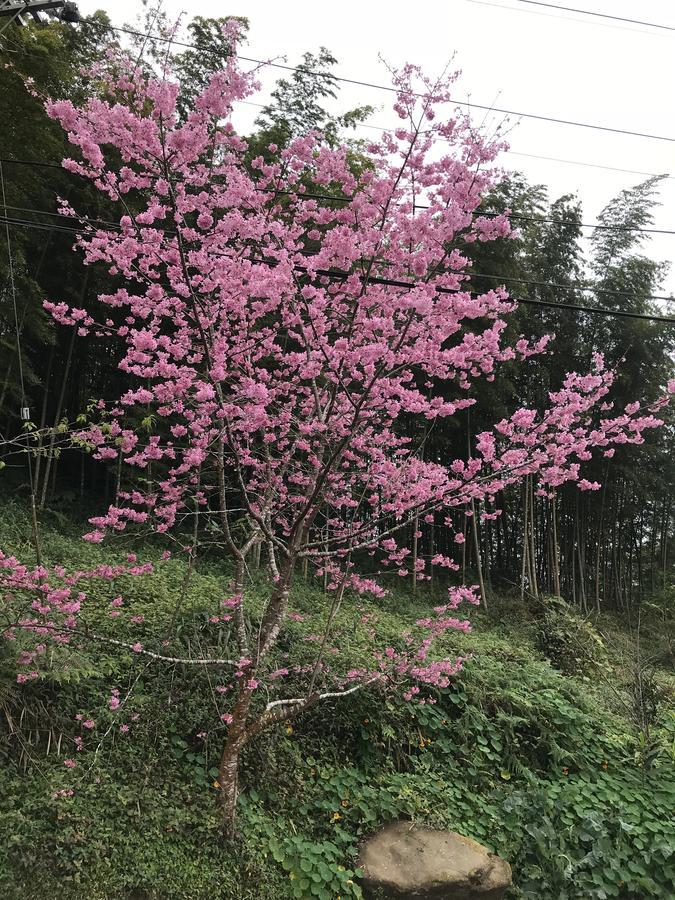 Zhu Yuan Homestay Fenchihu Esterno foto